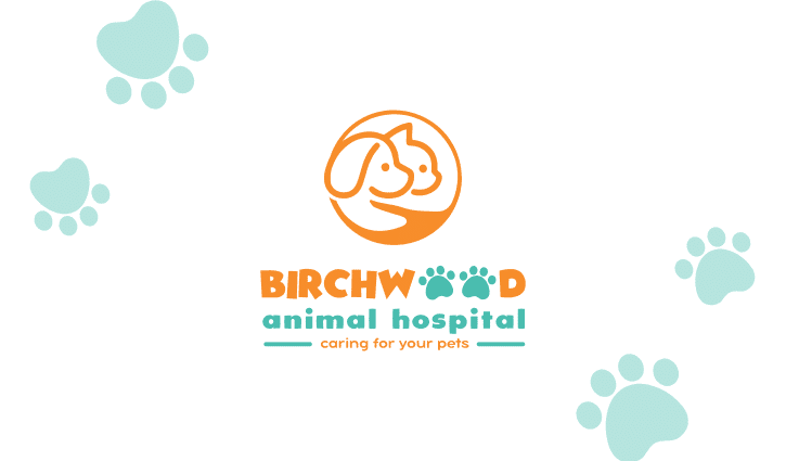 Optiimus healthcare medical dental logo design