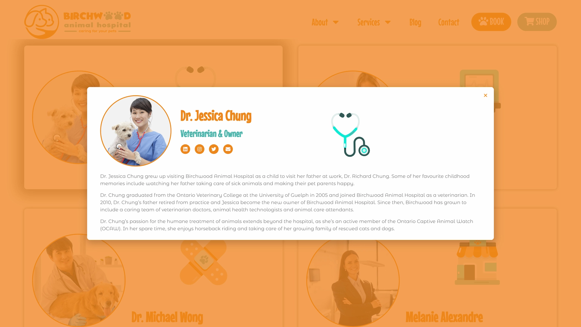 Optiimus Dental, Medical & Healthcare Marketing Wordpress-website-design-veterinary10