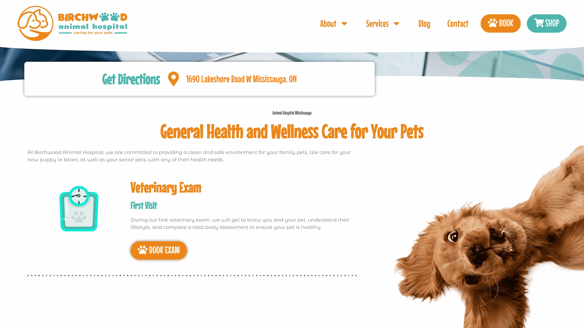 Optiimus Dental, Medical & Healthcare Marketing Wordpress-website-design-veterinary15