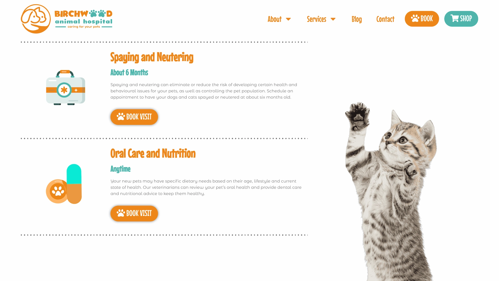 Optiimus Dental, Medical & Healthcare Marketing Wordpress-website-design-veterinary16