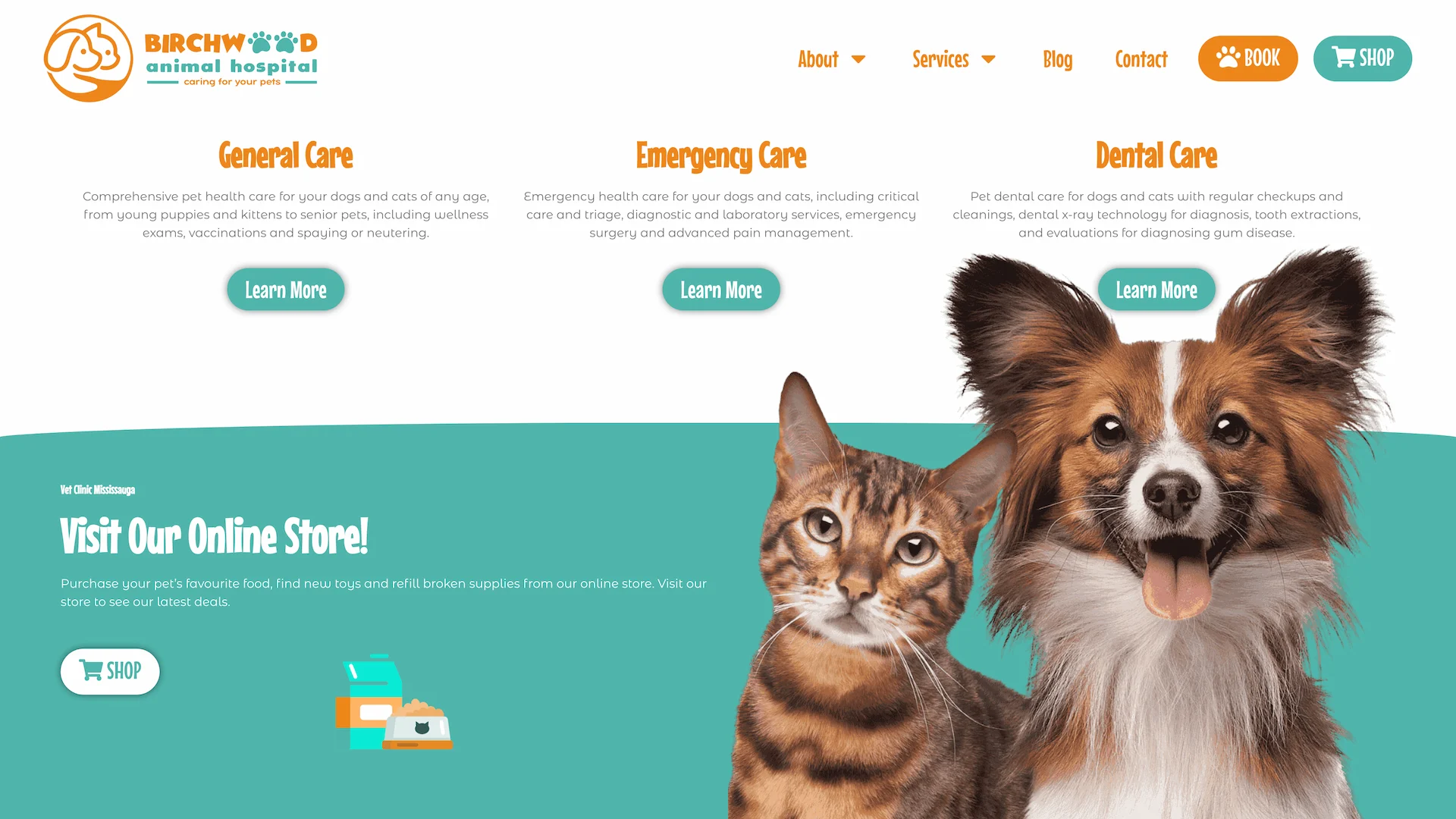Optiimus Dental, Medical & Healthcare Marketing Wordpress-website-design-veterinary2
