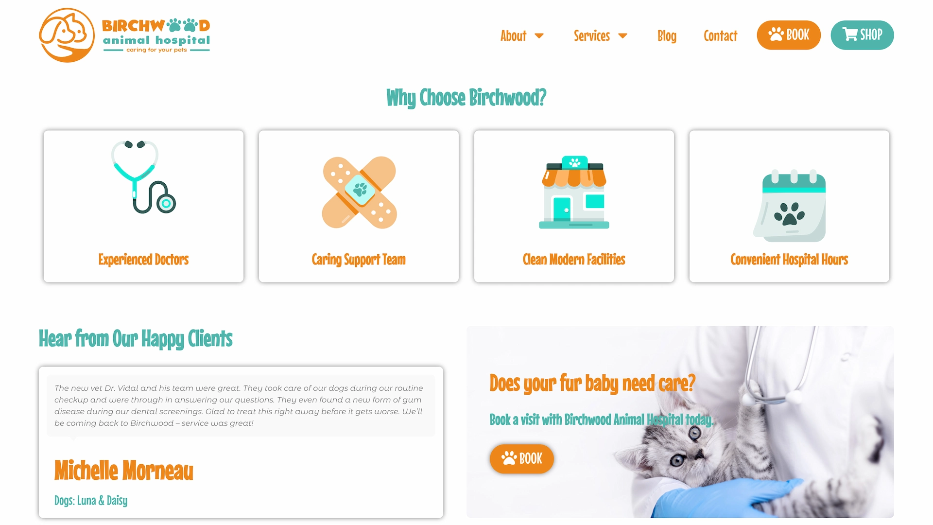 Optiimus Dental, Medical & Healthcare Marketing Wordpress-website-design-veterinary8